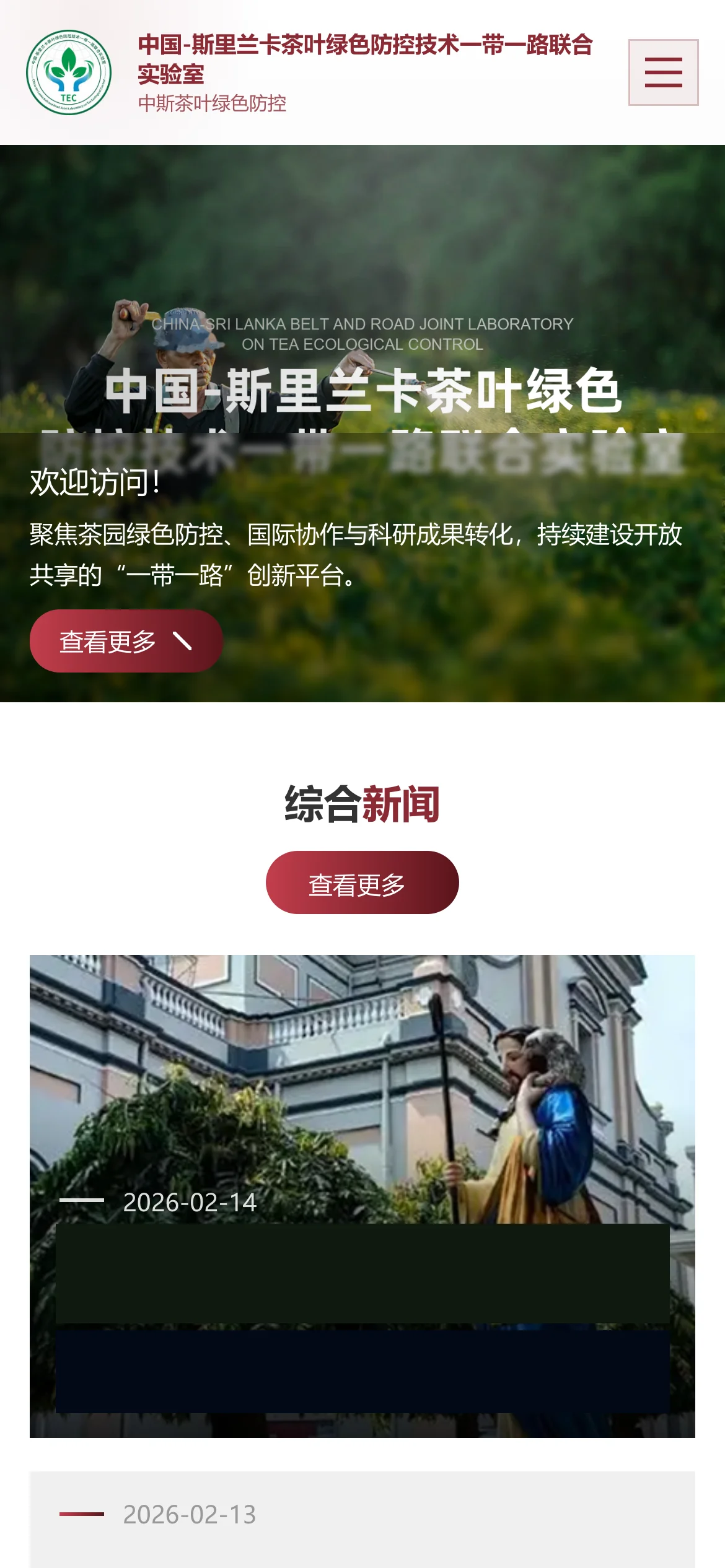 作品实拍:一带一路联合实验室官网手机端首屏